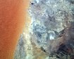 thumb-image-2024-02-29T14:03:23.621Z