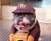 thumb-image-2024-02-29T14:03:23.679Z