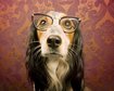 thumb-image-2024-02-29T14:03:24.783Z