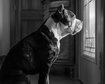 thumb-image-2024-02-29T14:03:25.590Z