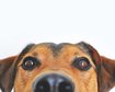 thumb-image-2024-02-29T14:03:26.370Z