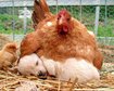 thumb-image-2024-02-29T14:03:26.554Z