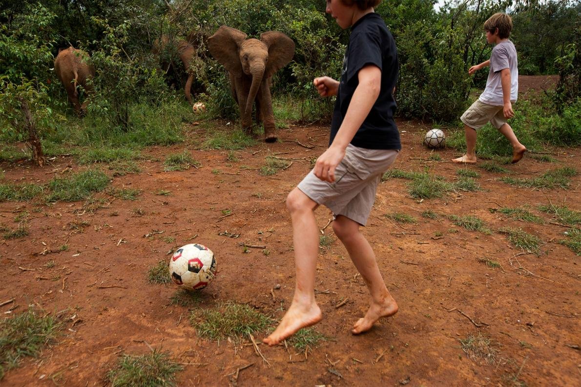 Futebol com elefantes