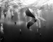 thumb-image-2024-02-29T14:03:29.169Z