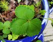 thumb-image-2024-02-29T14:03:29.421Z