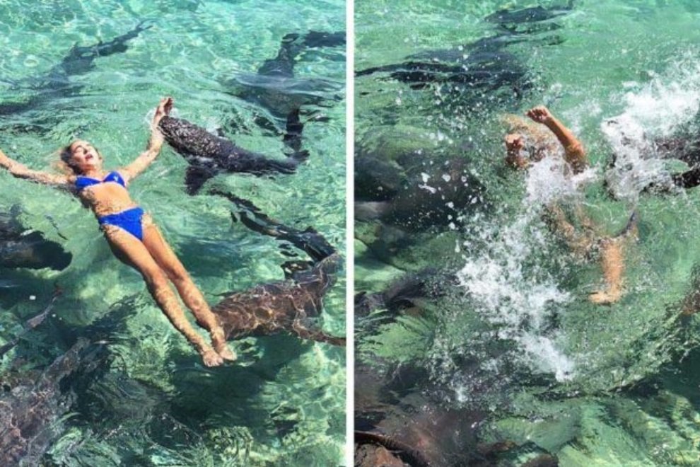 Imagem de Susto: jovem é atacada por tubarão enquanto posava para fotos nas Bahamas no megacurioso