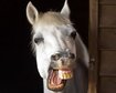 thumb-image-2024-02-29T14:03:30.609Z