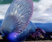 thumb-image-2024-02-29T14:03:31.175Z