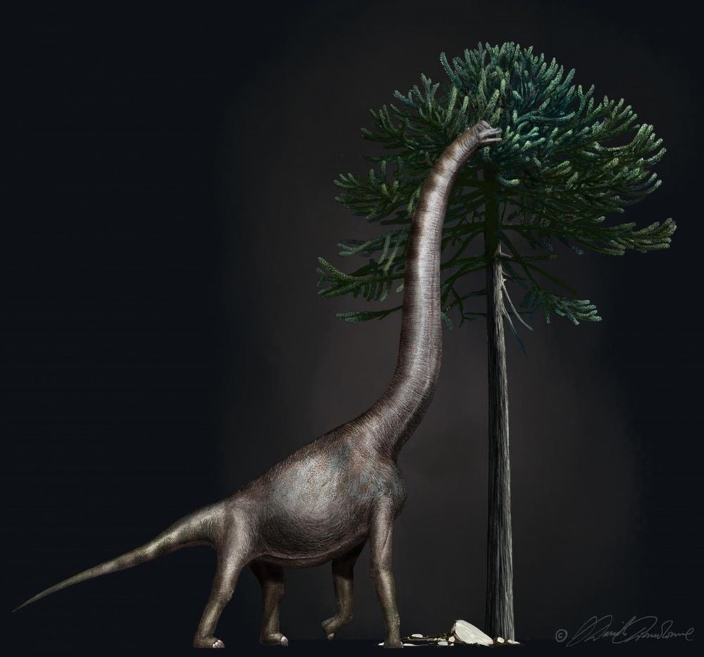 Dinossauro gigante