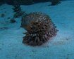 thumb-image-2024-02-29T14:03:32.304Z