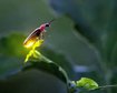 thumb-image-2024-02-29T14:03:32.424Z