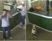 thumb-image-2024-02-29T14:03:32.593Z