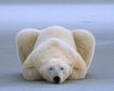 thumb-image-2024-02-29T14:03:32.712Z