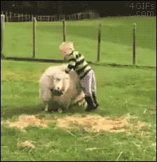 Menino montando em ovelha