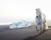 thumb-image-2024-02-29T14:03:33.379Z