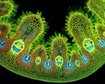thumb-image-2024-02-29T14:03:33.712Z