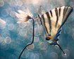 thumb-image-2024-02-29T14:03:33.734Z