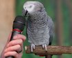 thumb-image-2024-02-29T13:57:52.326Z