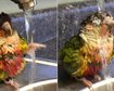 thumb-image-2024-02-29T14:03:34.637Z