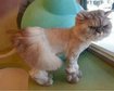 thumb-image-2024-02-29T14:03:34.670Z