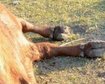 thumb-image-2024-02-29T14:03:34.712Z