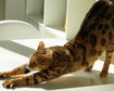 thumb-image-2024-02-29T14:03:34.894Z