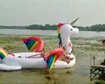thumb-image-2024-02-29T14:03:35.543Z
