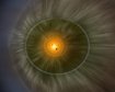thumb-image-2024-02-29T14:03:35.849Z