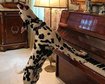thumb-image-2024-02-29T14:03:35.905Z