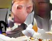 thumb-image-2024-02-29T14:03:36.598Z