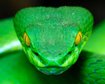 thumb-image-2024-02-29T14:03:37.276Z