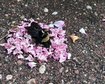 thumb-image-2024-02-29T14:03:37.377Z