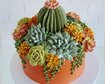 thumb-image-2024-02-29T14:03:37.397Z