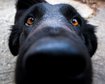 thumb-image-2024-02-29T14:03:37.553Z