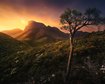 thumb-image-2024-02-29T14:03:37.731Z