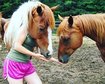 thumb-image-2024-02-29T14:03:37.919Z