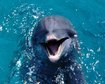 thumb-image-2024-02-29T14:03:37.855Z