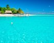 thumb-image-2024-02-29T14:03:38.078Z