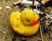 thumb-image-2024-02-29T14:03:39.634Z