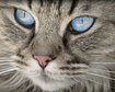 thumb-image-2024-02-29T14:03:40.144Z