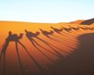 thumb-image-2024-02-29T14:03:41.227Z