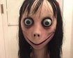thumb-image-2024-02-29T14:03:40.990Z