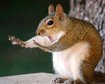 thumb-image-2024-02-29T14:03:41.101Z