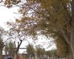 thumb-image-2024-02-29T14:03:41.339Z