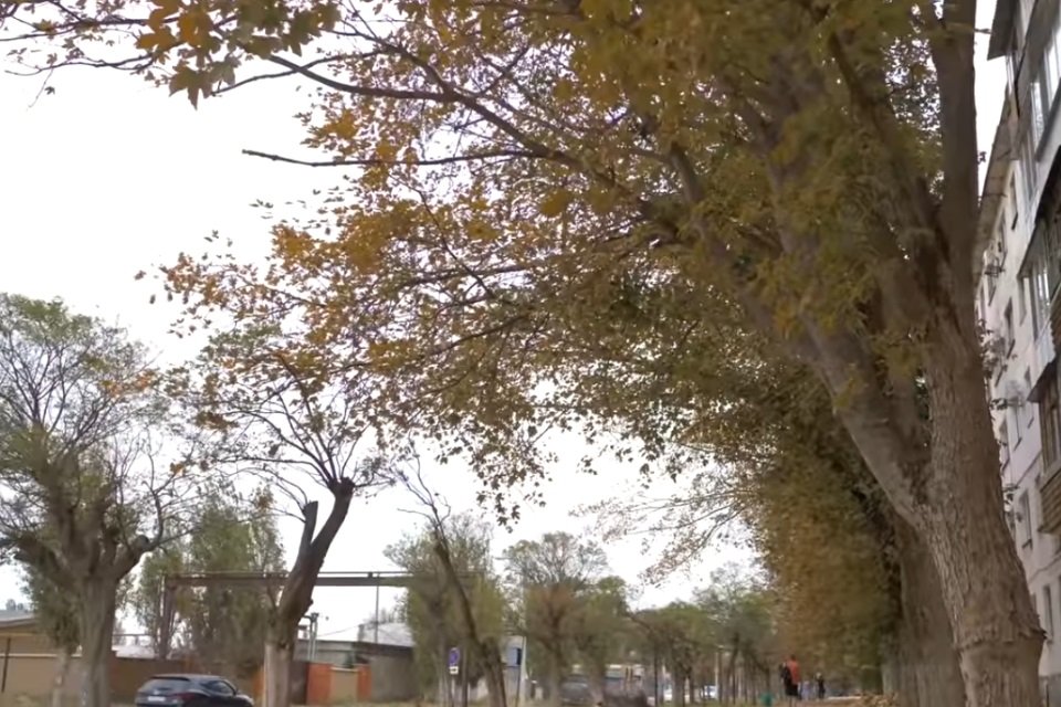 Imagem de Pássaros sumiram de cidade na Península da Crimeia no megacurioso