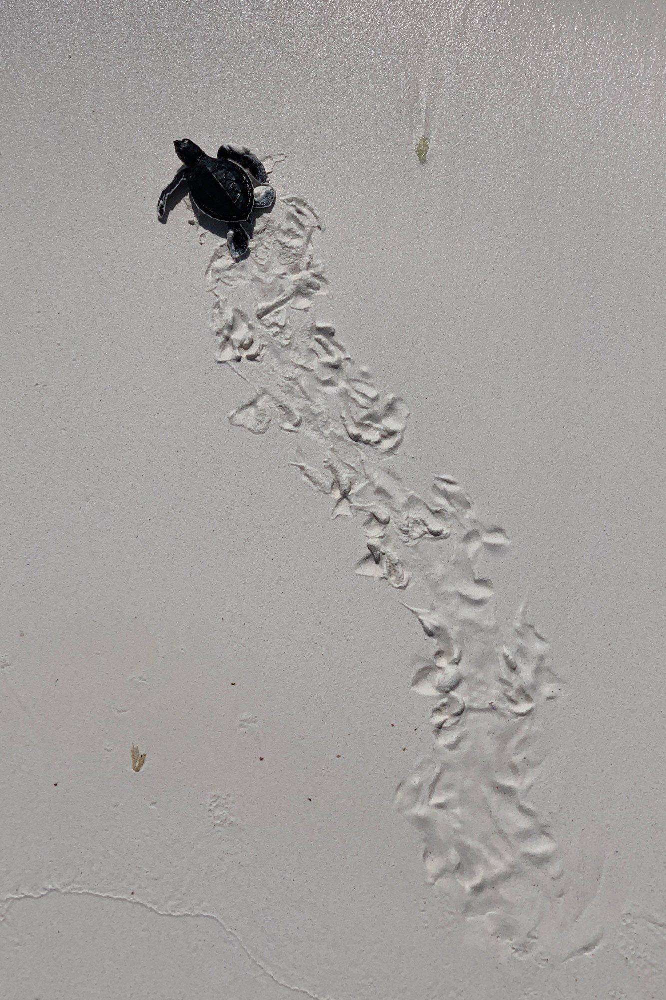Veja algumas das primeiras fotos tiradas em um iPhone Xs