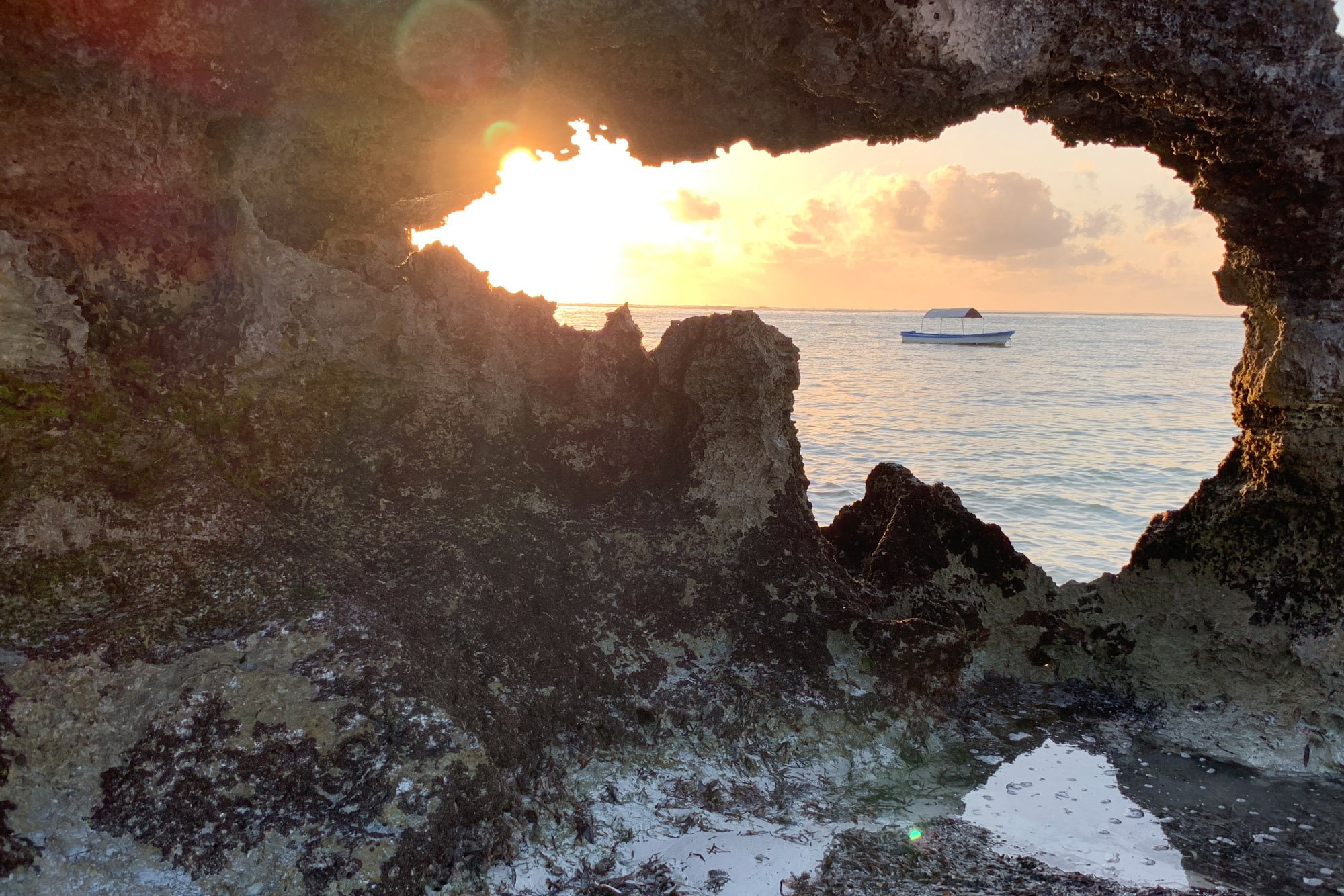 Veja algumas das primeiras fotos tiradas em um iPhone Xs