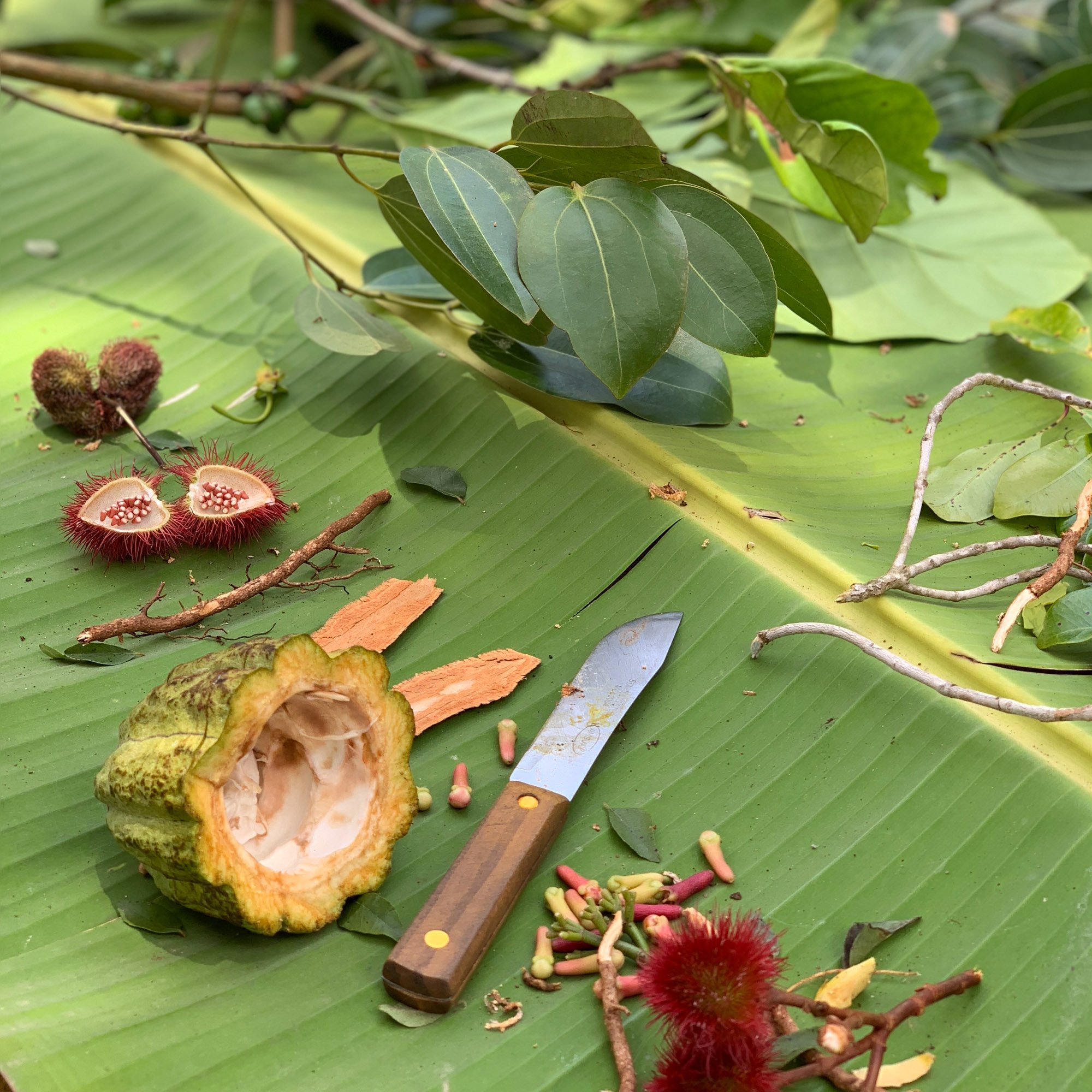 Veja algumas das primeiras fotos tiradas em um iPhone Xs