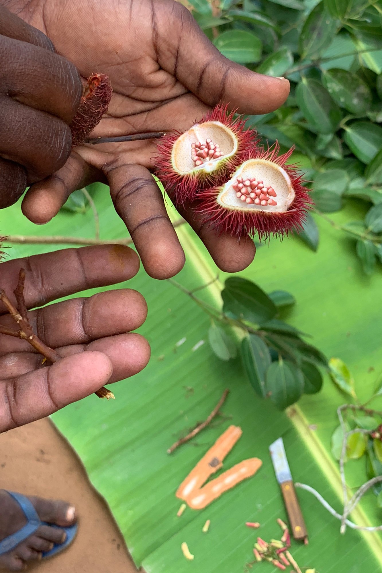 Veja algumas das primeiras fotos tiradas em um iPhone Xs