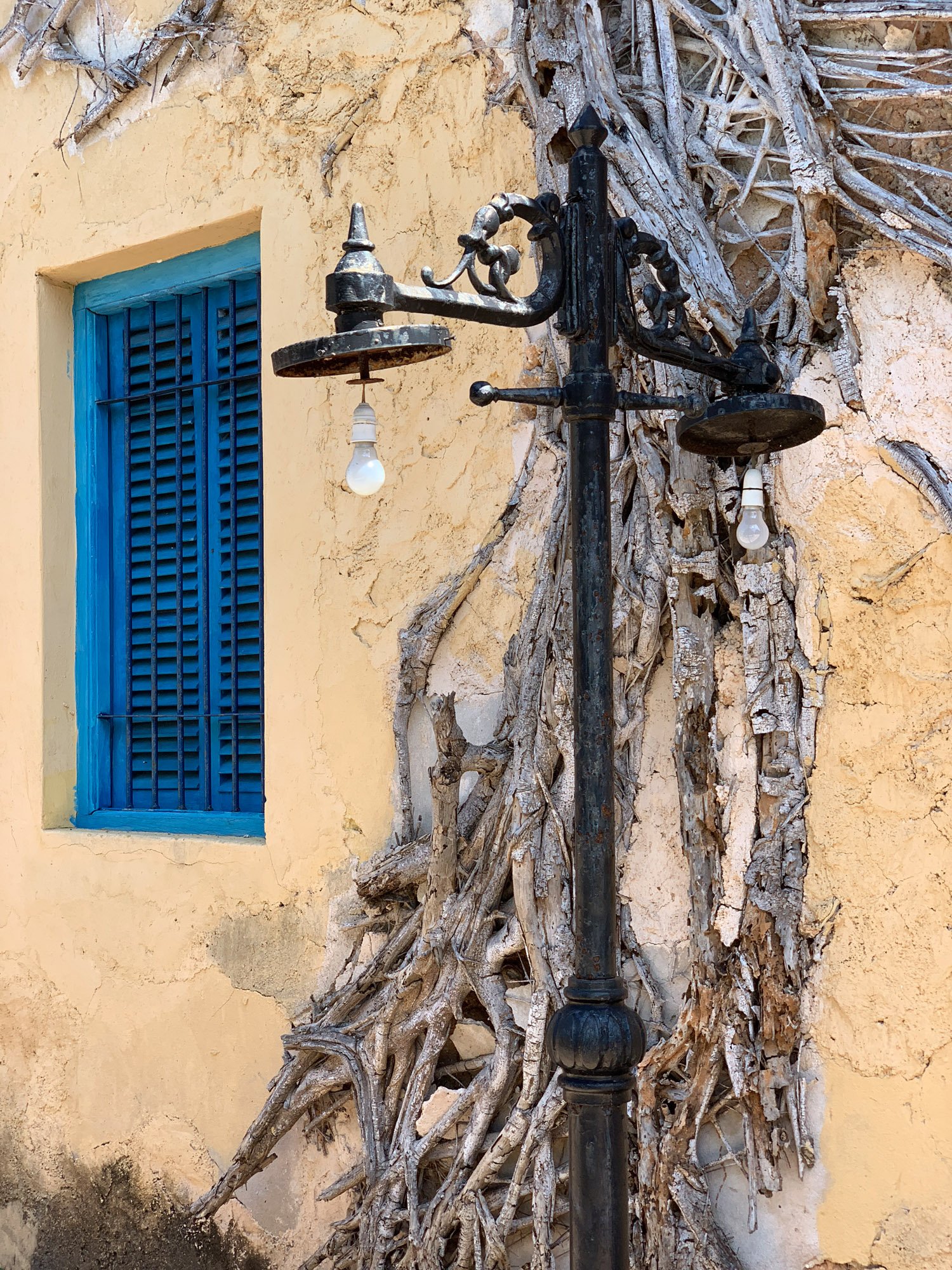 Veja algumas das primeiras fotos tiradas em um iPhone Xs